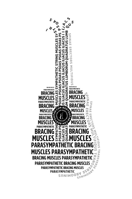 Word-shape illustration of a guitar built from bracing and string muscle language